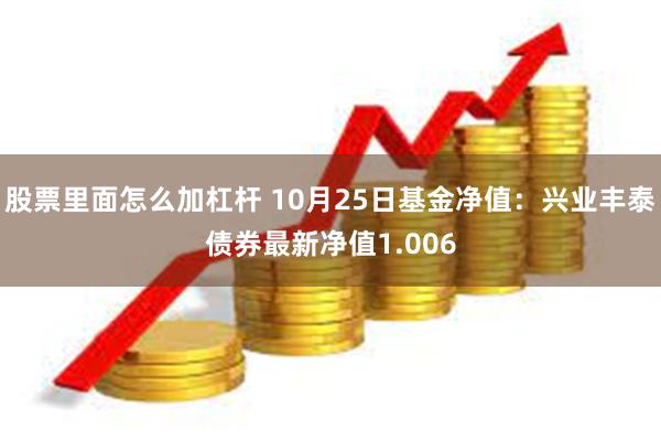 股票里面怎么加杠杆 10月25日基金净值：兴业丰泰债券最新净值1.006