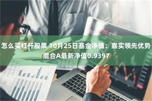 怎么买杠杆股票 10月25日基金净值：嘉实领先优势混合A最新净值0.9397