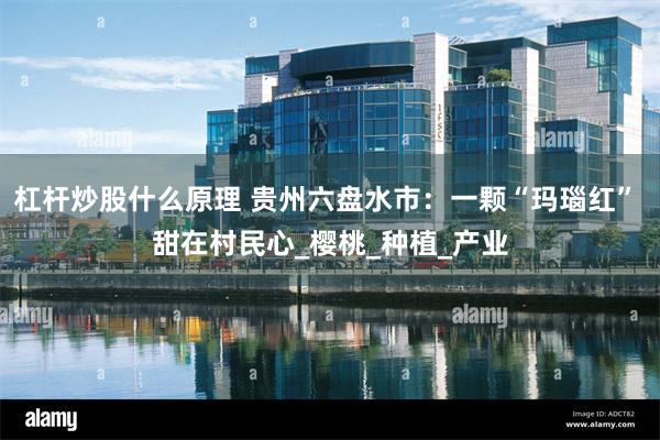 杠杆炒股什么原理 贵州六盘水市：一颗“玛瑙红” 甜在村民心_樱桃_种植_产业