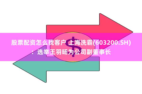 股票配资怎么找客户 上海洗霸(603200.SH)：选举王羽旸为公司副董事长