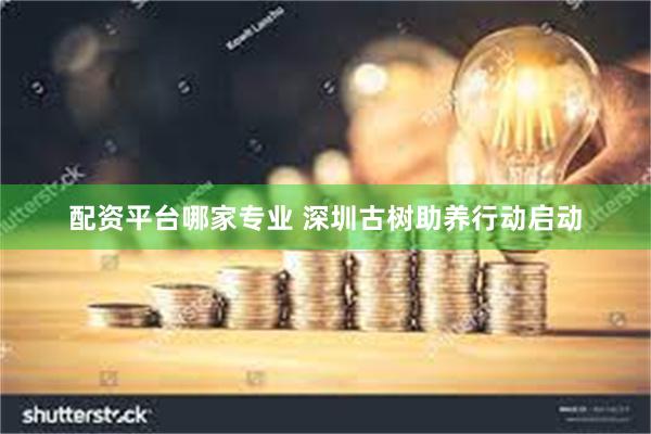 配资平台哪家专业 深圳古树助养行动启动