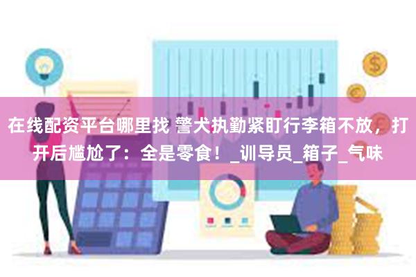 在线配资平台哪里找 警犬执勤紧盯行李箱不放，打开后尴尬了：全是零食！_训导员_箱子_气味