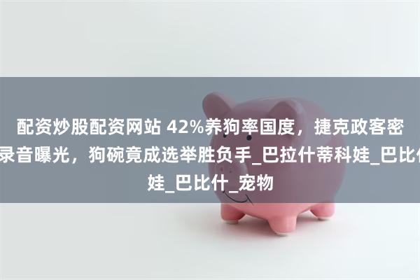 配资炒股配资网站 42%养狗率国度，捷克政客密谋杀狗录音曝光，狗碗竟成选举胜负手_巴拉什蒂科娃_巴比什_宠物